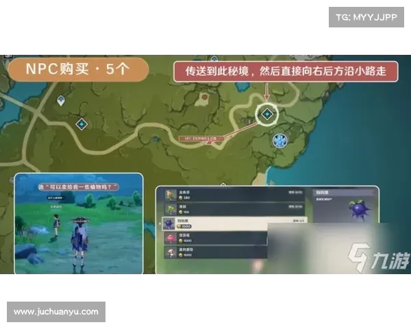 玩转行会3全攻略从新手到高手的成长路径与技巧分享 玩转行会3全攻略从新手到高手的成长路径与技巧分享